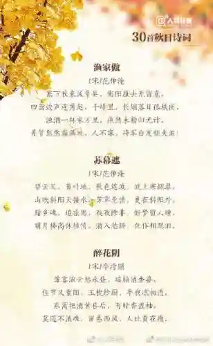 秋天的诗句(一二三年级秋天的诗简单)插图3
