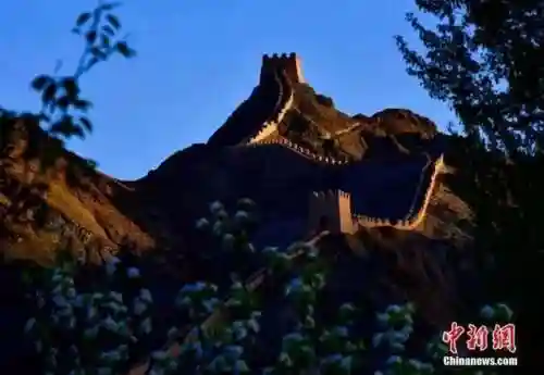 和平精英三炮阵容搭配(和平精英枪支最佳搭配)插图2