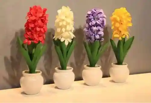 风信子图片(风信子比喻什么样的人)插图9
