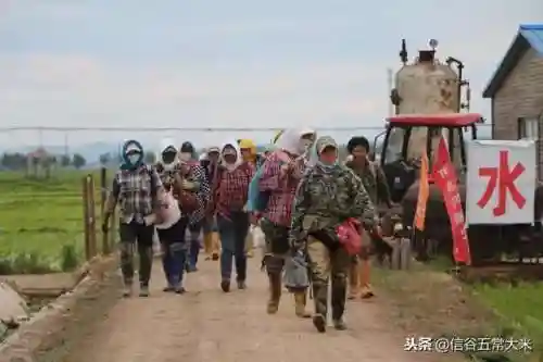 拔草大军的最强阵容搭配(银河英雄传义军阵容最后一关怎么打)插图8