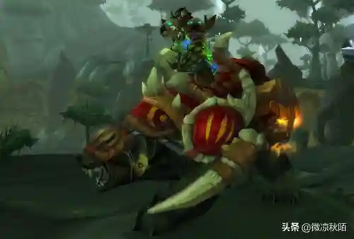 阿曼尼战熊怎么获得(魔兽世界阿曼尼斗熊还能掉吗)插图4