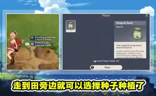 摩尔庄园法师搭配推荐阵容(摩尔庄园角色名字)插图4 摩尔庄园法师搭配推荐阵容(摩尔庄园角色名字)插图4
