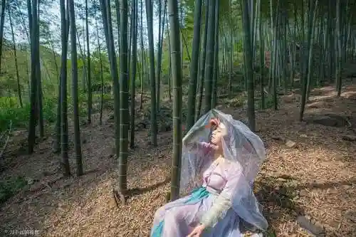碧空战纪关羽阵容搭配(霸王雄心后期最强阵容搭配)插图24