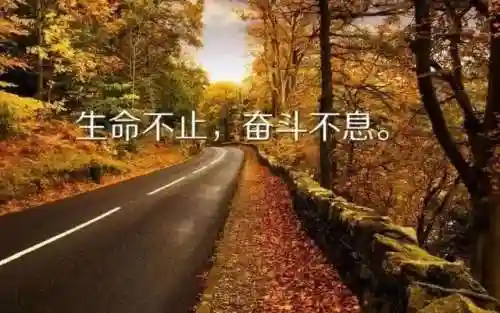 阴阳师破晓之光阵容搭配(阴阳师全sr阵容搭配推荐)插图1