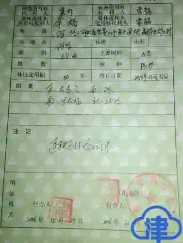 金铲车龙系列阵容搭配(聚峰龙20铲车怎么样)插图4