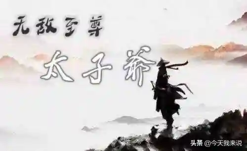 无敌至尊太子爷(史上最强太子爷)插图3