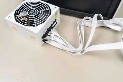 黑白魔方阵容推荐搭配(黑白双熊时期阵容)插图51