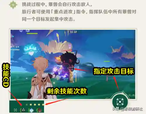 原神最强驯兽阵容搭配(原神十大平民最强阵容)插图8