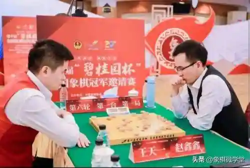 双人下棋前期阵容搭配(可以双人联机的象棋游戏)