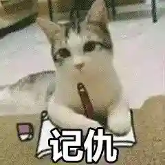 网上特别火的那个猫表情包(猫咪摇头表情包动图)插图31 网上特别火的那个猫表情包(猫咪摇头表情包动图)插图31