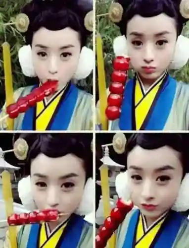 陆贞传奇搭配阵容推荐图片(陆贞传奇演员表全部名单)插图6
