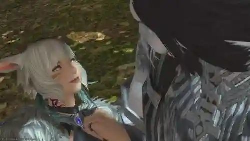 最终幻想ff14(ff14官网首页)插图11