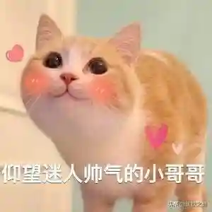 冒险重骑兵阵容搭配(地下城堡2最强阵容搭配)插图2