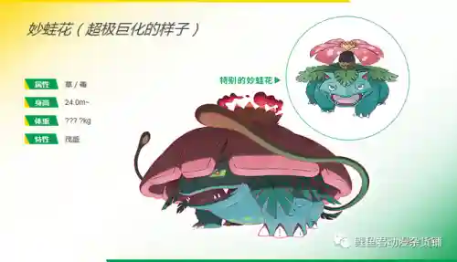 晴天队如何正确搭配阵容(晴天队最强阵容)插图2