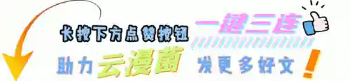 蔷薇刺客搭配阵容图片高清(云顶之弈刺客阵容搭配最新版本)插图7 蔷薇刺客搭配阵容图片高清(云顶之弈刺客阵容搭配最新版本)插图7