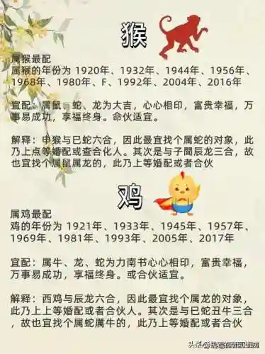 最佳好友阵容搭配图表高清(最佳阵容下载)插图1