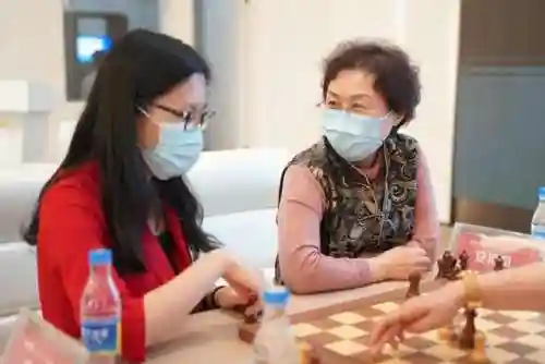 双人国际象棋(一人一半屏幕的双人象棋)插图8