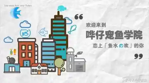 六角恐龙鱼(六角恐龙刚买回来怎么喂)
