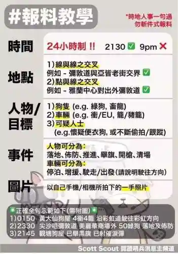 洛克王国海豹旗手进化(洛克王国小风鹰进化)插图1