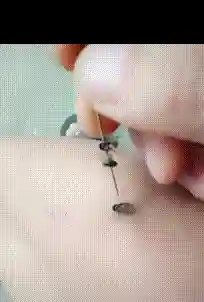 鳄鱼骑猪阵容怎么搭配(群骑吕布最强阵容)插图1