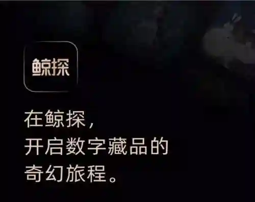 数字藏品交易平台(正规收藏品交易中心)插图2