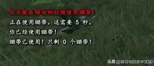 骑马与砍杀新阵容搭配(骑马与砍杀战团伙伴最佳搭配)插图10