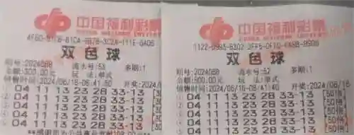 闪烁之光光搭阵容搭配(闪烁之光适合平民的四大最强阵容)插图96