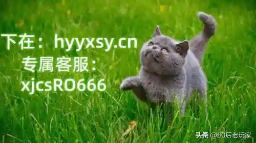 战国英雄手游(战国兰斯x大陆版2.2人物评价)插图4