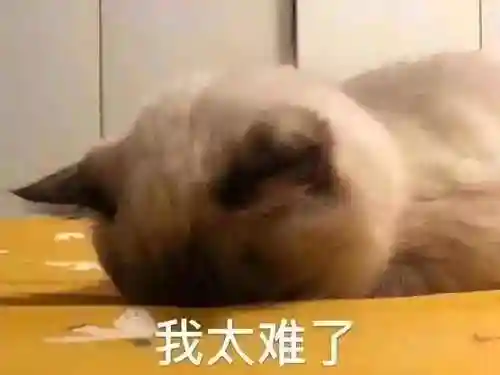 掌上英雄联盟手机版(掌上英雄联盟战绩查询网页版)插图6