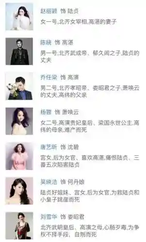 陆贞传奇搭配阵容推荐图片(陆贞传奇演员表全部名单)插图2