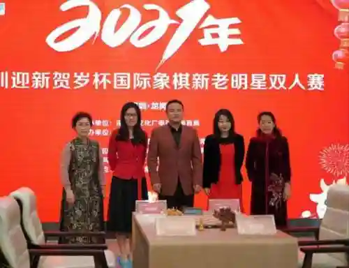 双人国际象棋(一人一半屏幕的双人象棋)