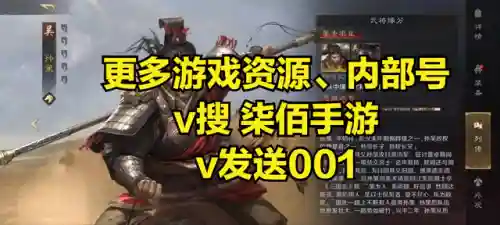 平民孙策阵容搭配最新攻略(孙策推图阵容)