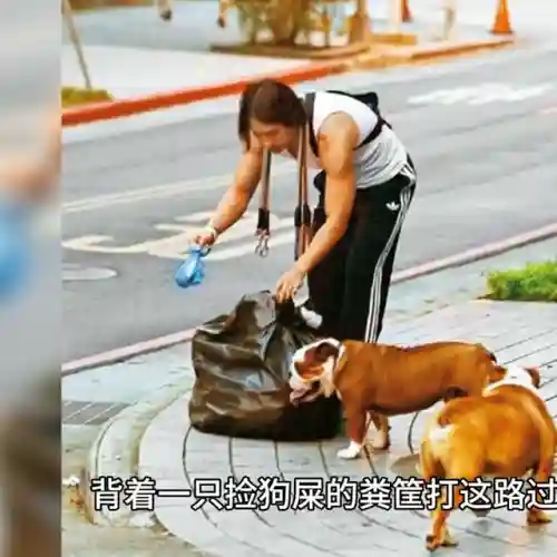 死亡笔记戒指推荐阵容搭配(圣树之光阵容搭配攻略)插图6