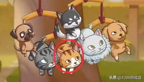 狗狗呼叫喵星阵容怎么搭配(小狗汪汪叫小猫喵喵喵)插图6