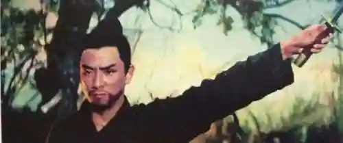 武林小子最佳搭配阵容推荐(少侠江湖志最强阵容)插图46