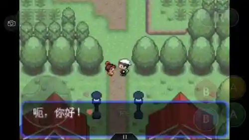 神奇宝贝究极绿宝石攻略(神奇宝贝第一部免费)插图87