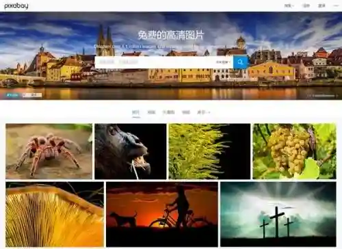 九龙图库正版图库(九龙老牌图库彩图资料文档标签)插图2