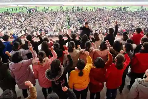 命运决战英雄阵容搭配推荐(命运战歌攻略阵容搭配)