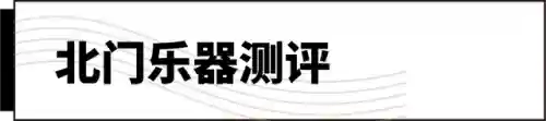 十大最难学的乐器(什么乐器可以参加艺考)插图7