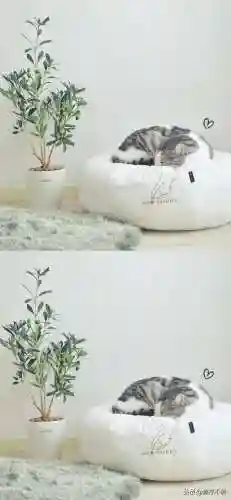 壁纸高清全屏大全(壁纸推荐排行榜)插图1