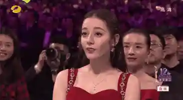 将夜女兵阵容搭配(原神雷电将军配队阵容)插图17