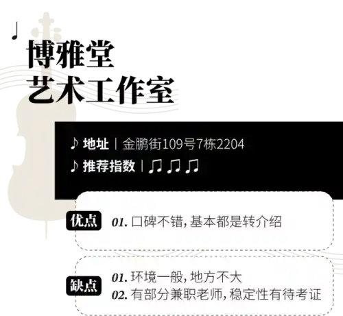 十大最难学的乐器(什么乐器可以参加艺考)插图23