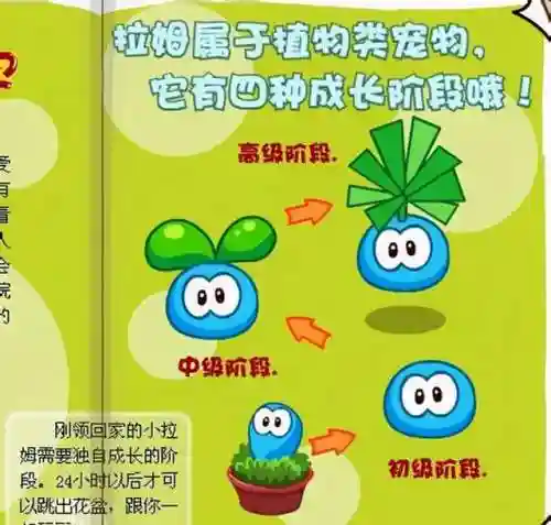 摩尔庄园骑士卡牌(摩尔庄园坐骑全图鉴)插图4
