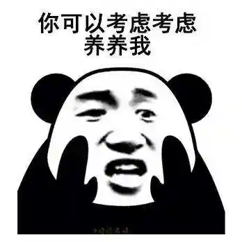 忍者新世代雷主阵容搭配(忍者新世代火主阵容)