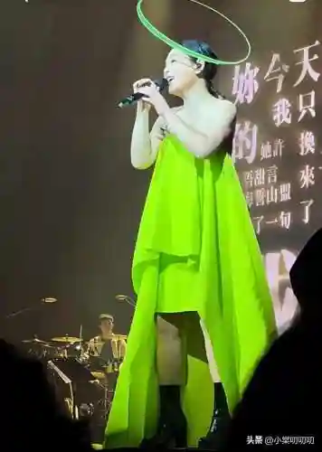 刘若英伦敦演唱会(刘若英还会开演唱会吗)插图3