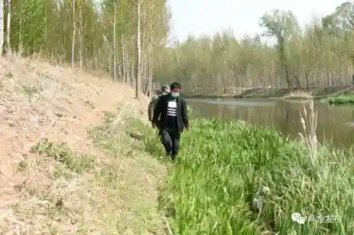 卢龙之巢阵容怎么搭配(卓越世界阵容搭配表最新)