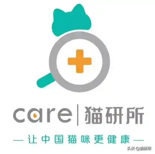 猫咪打架厉害的阵容搭配(一刀传世打架厉害的职业搭配)插图20