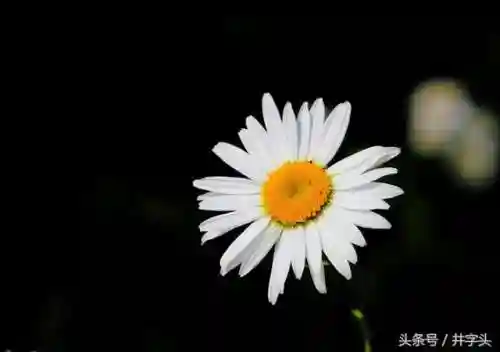 太玄内丹完美搭配推荐阵容(神相PVE内功搭配)插图16