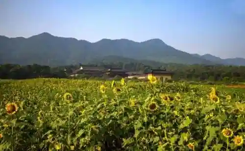 爱情岛路线(爱情岛第一路线和第二路线的景点区别)插图13