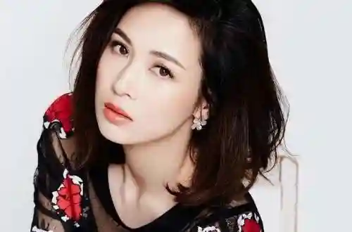 亮剑阵容搭配推荐图表(亮剑游戏最强阵容六个英雄)插图14